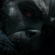 Illustration for article titled How many times must Jared Letos iMorbius/i be delayed by this infernal pandemic?!